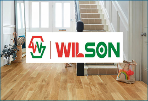 san go wilson   vn